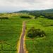 route à l'ïle Maurice : où roule t on?